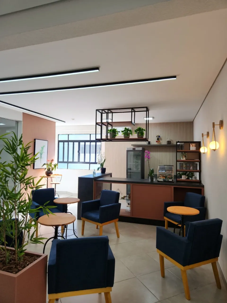 Foto 5 da AmplaEduca